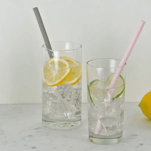 2 Piece: Eco-Friendly Reusable Drinking Straws