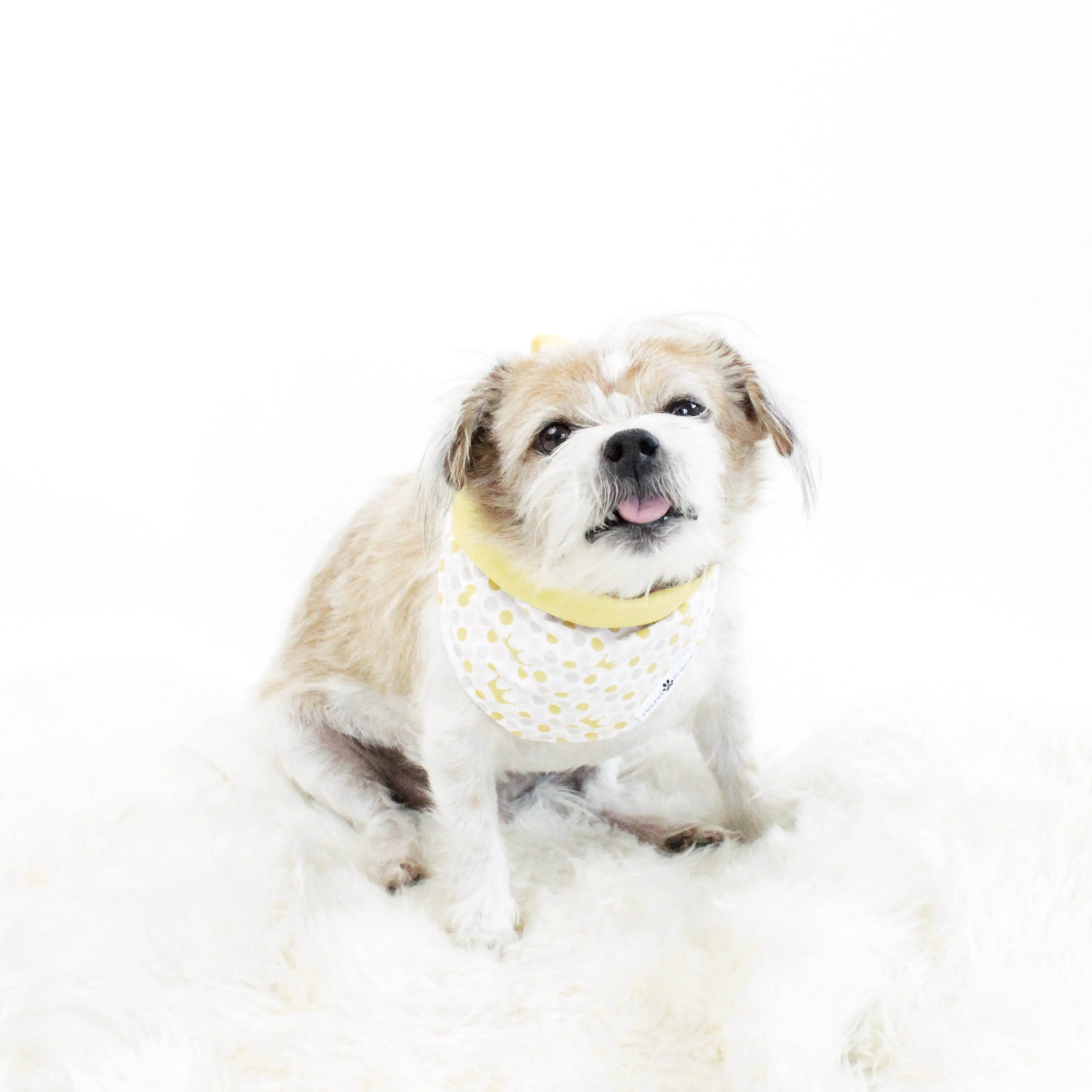 Abstract Patterns Bandana Bundles
