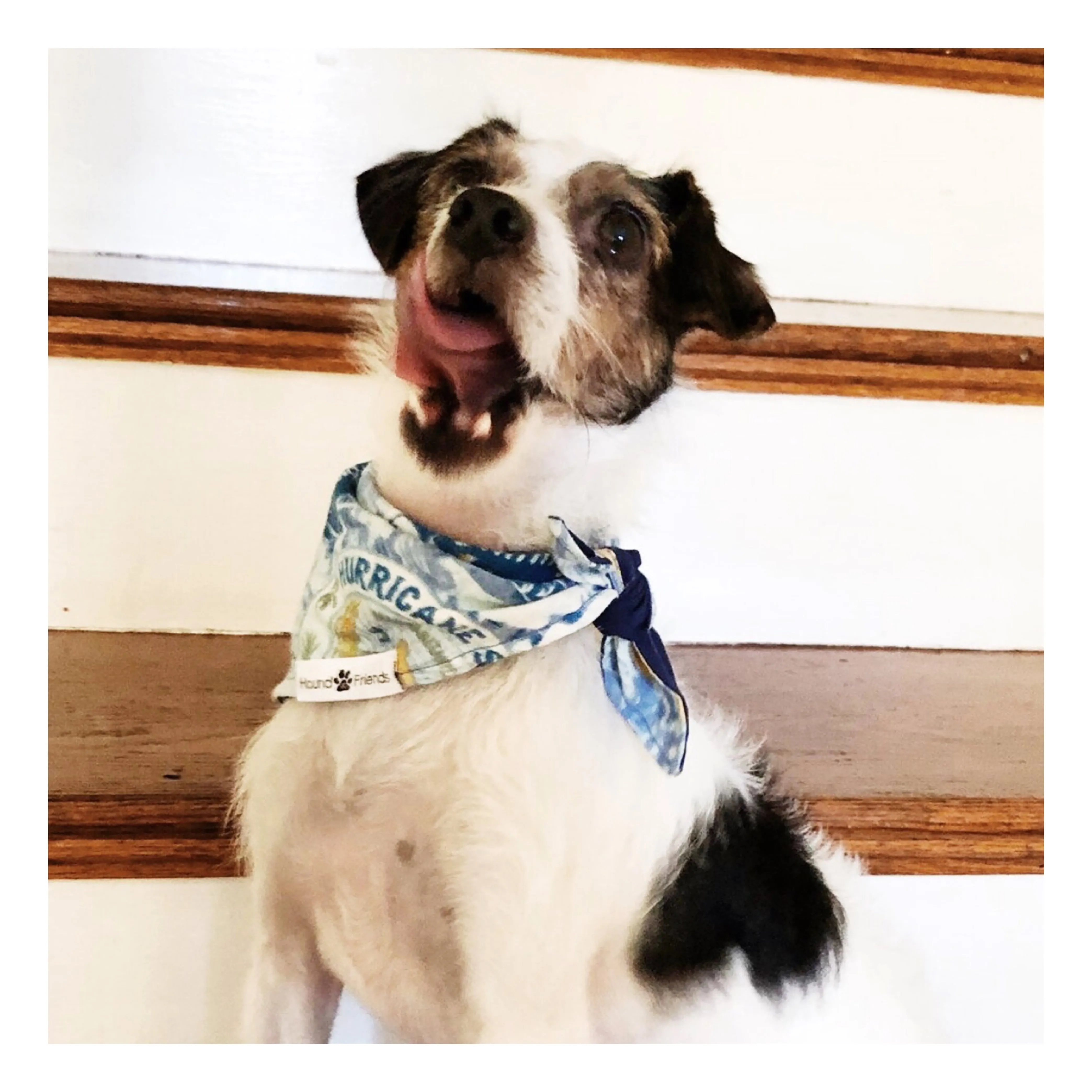 Abstract Patterns Bandana Bundles