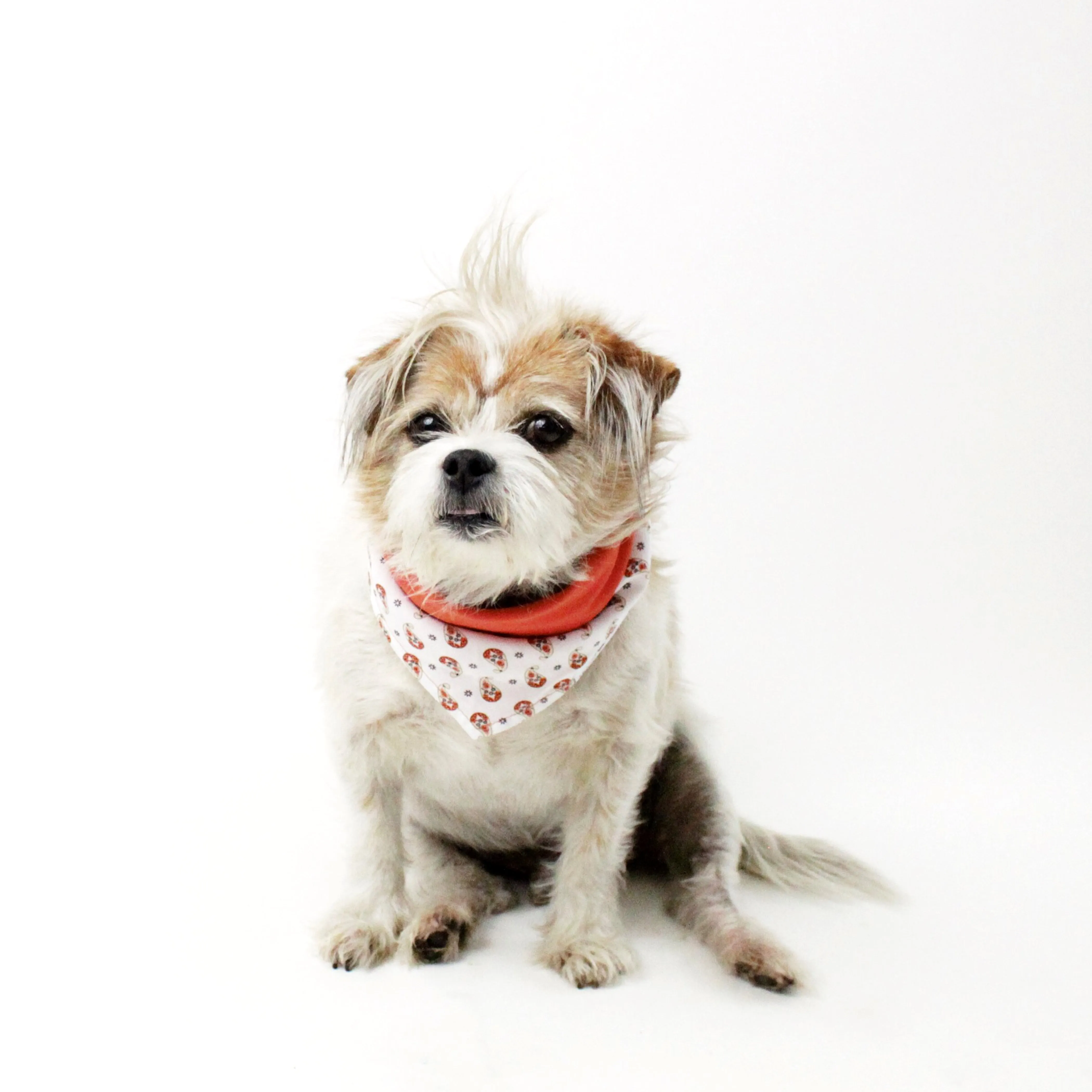 Abstract Patterns Bandana Bundles