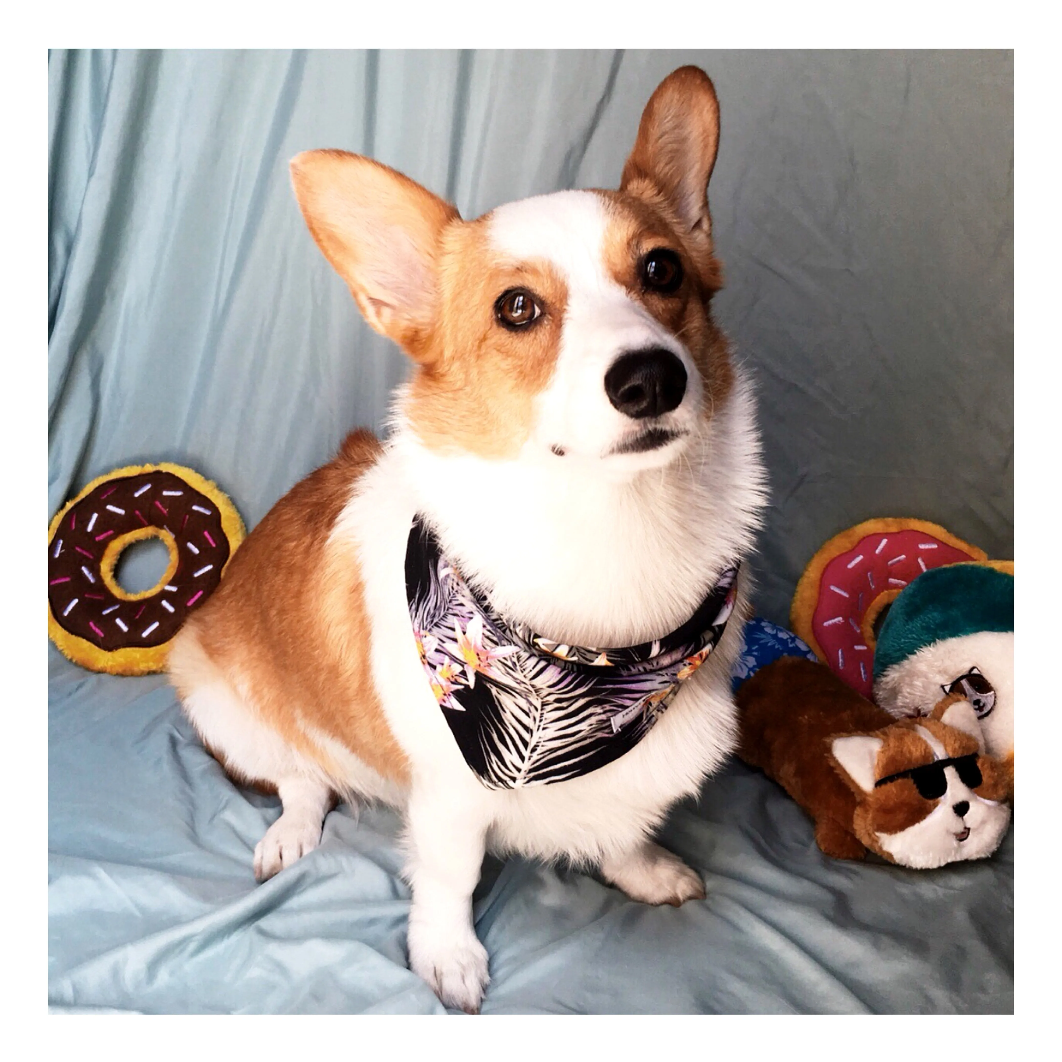 Abstract Patterns Bandana Bundles