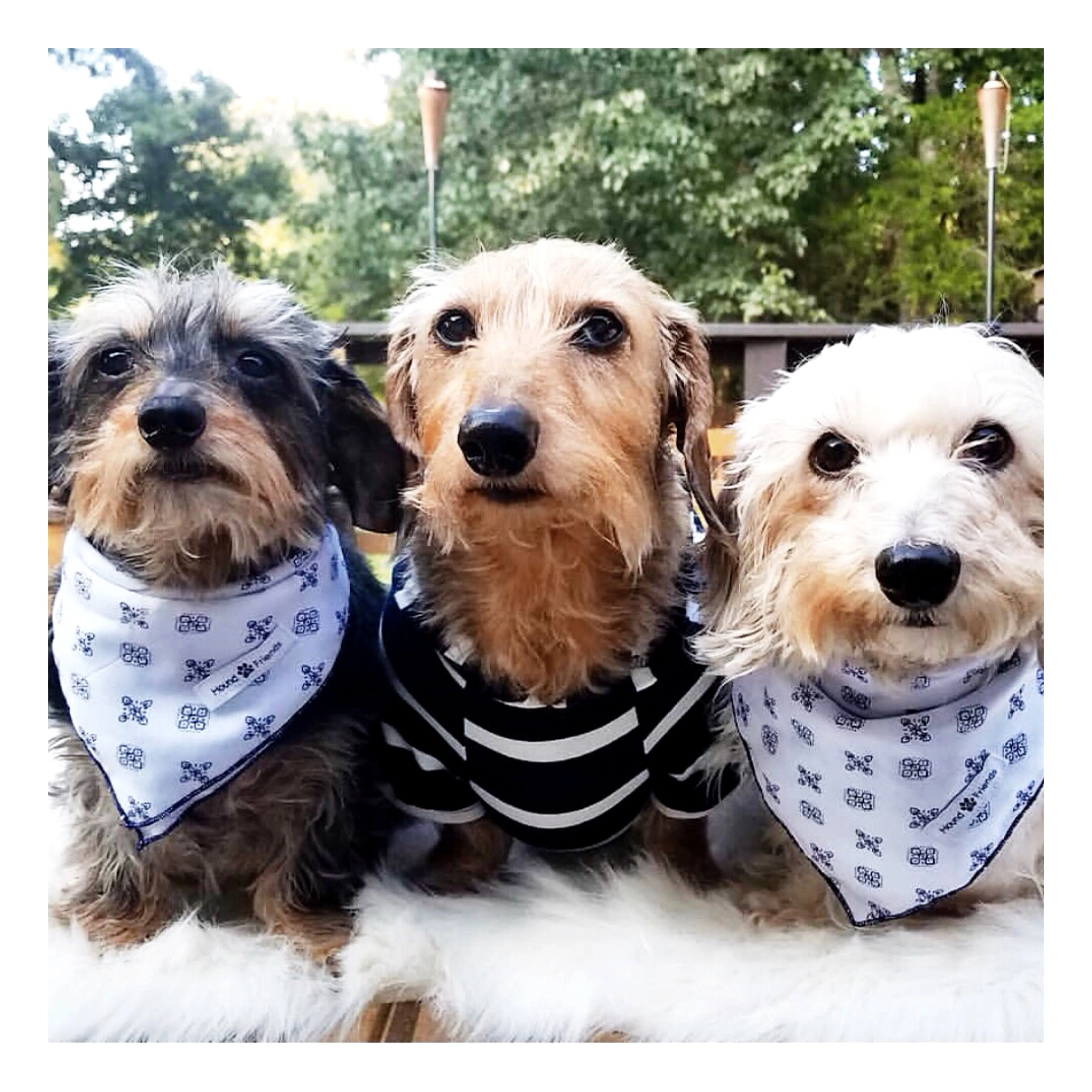 Abstract Patterns Bandana Bundles