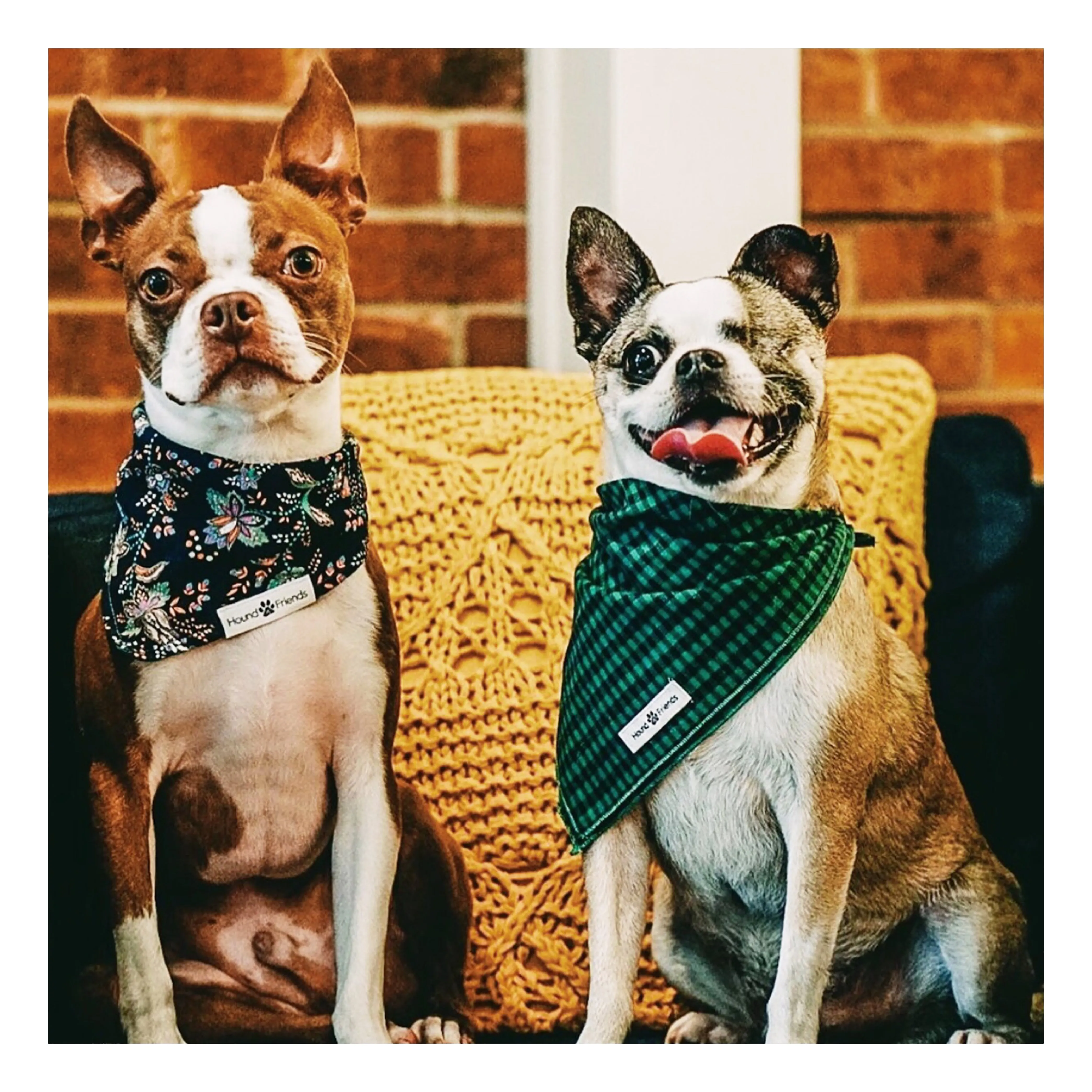 Abstract Patterns Bandana Bundles