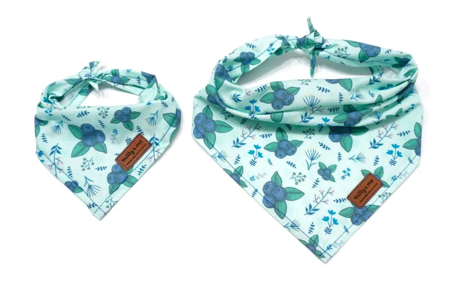 Alaskan Blueberries - Pet Bandana