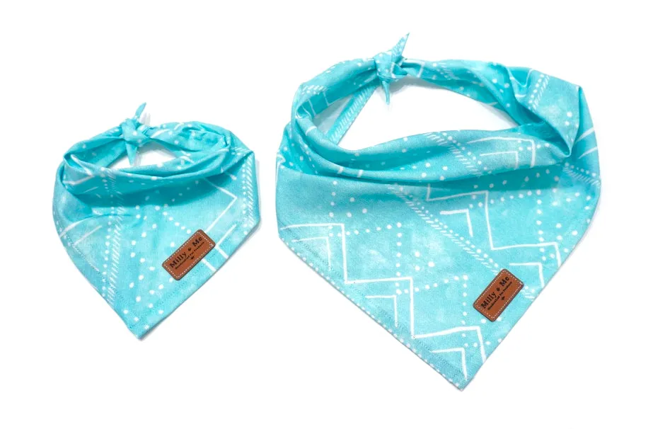 Aqua GEO Mountains - Pet Bandana
