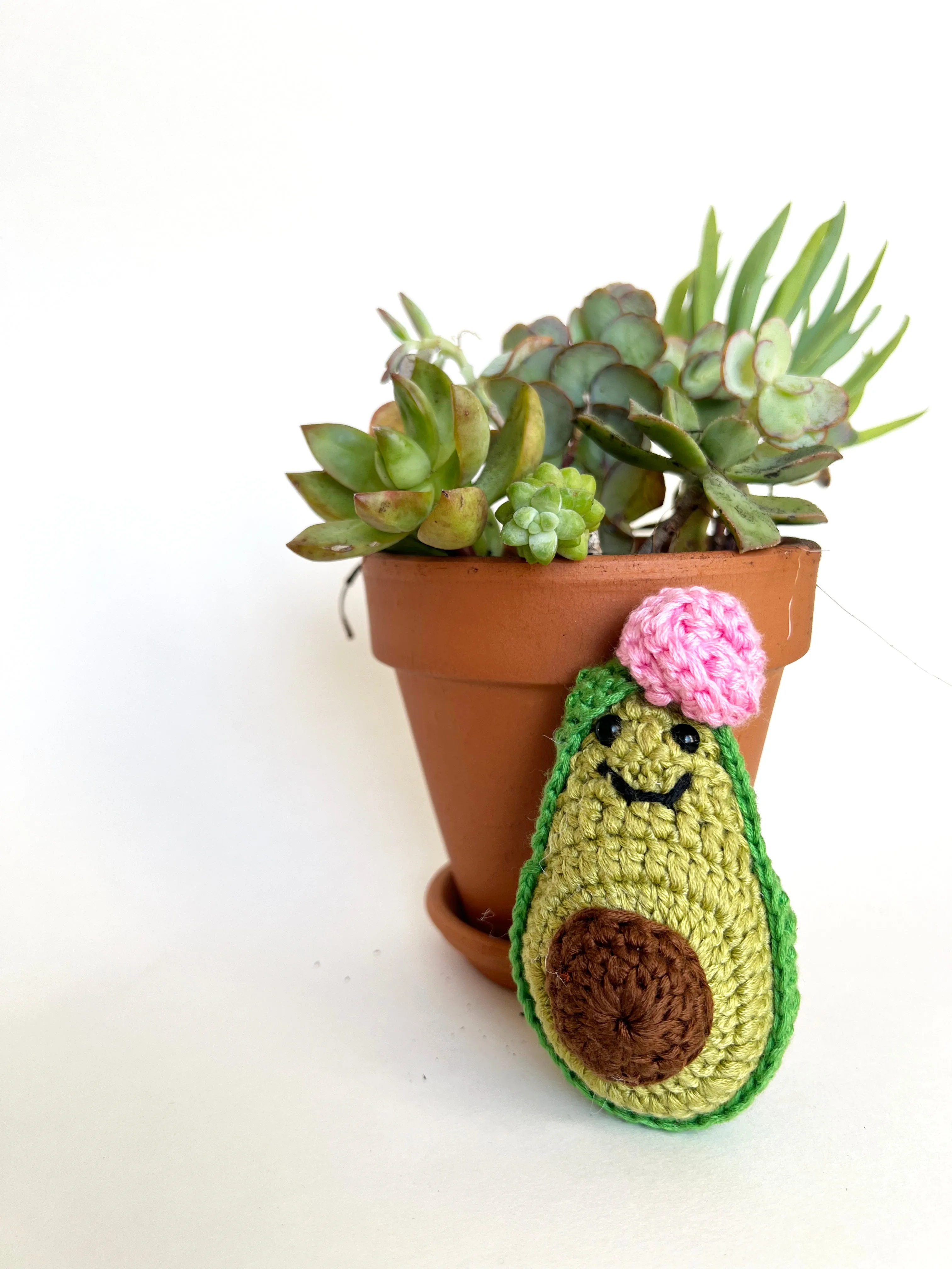 Avocado Pocket Pals