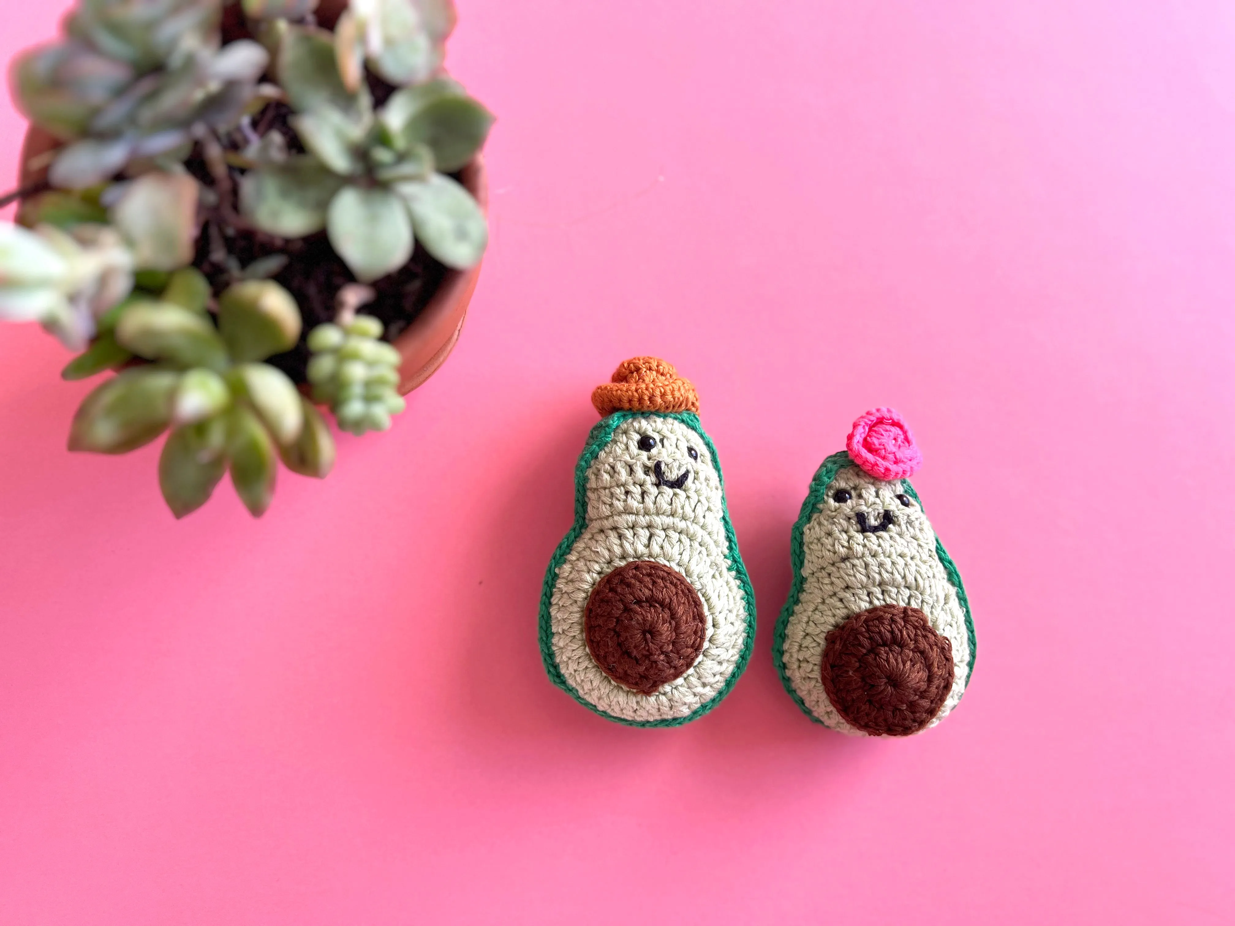 Avocado Pocket Pals