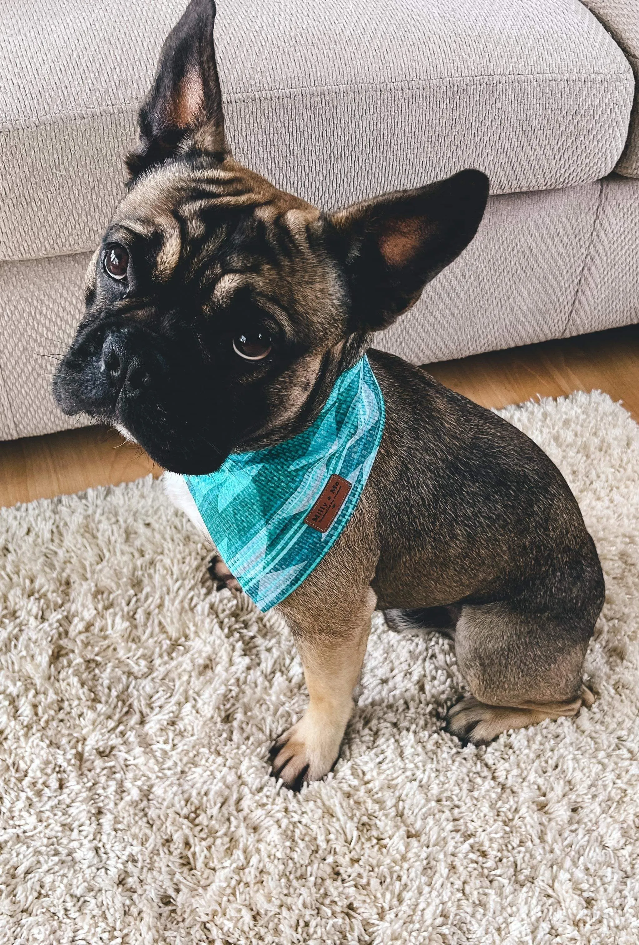 Aztec Teal - Pet Bandana