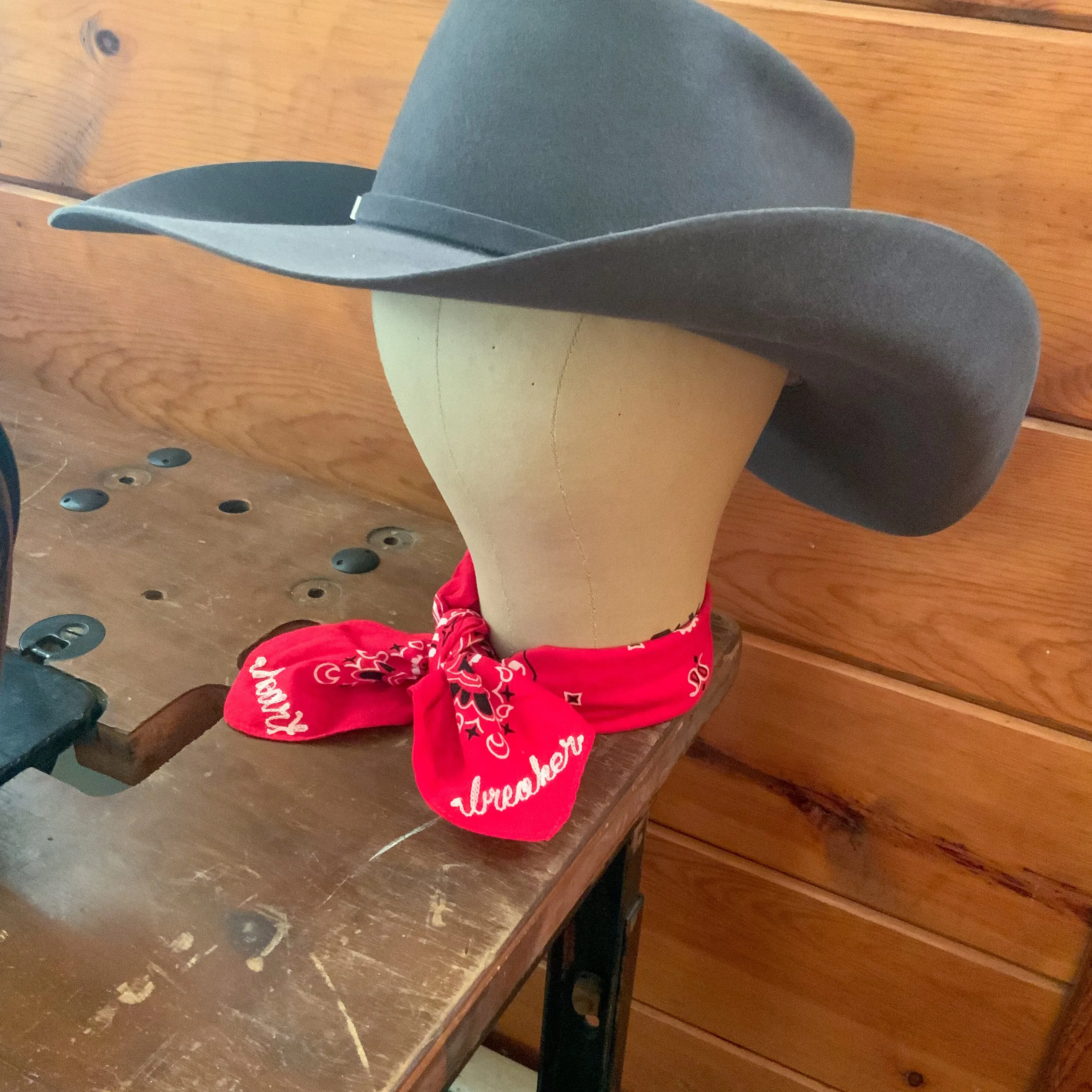 Bandana - Red - Knotted 2 Words