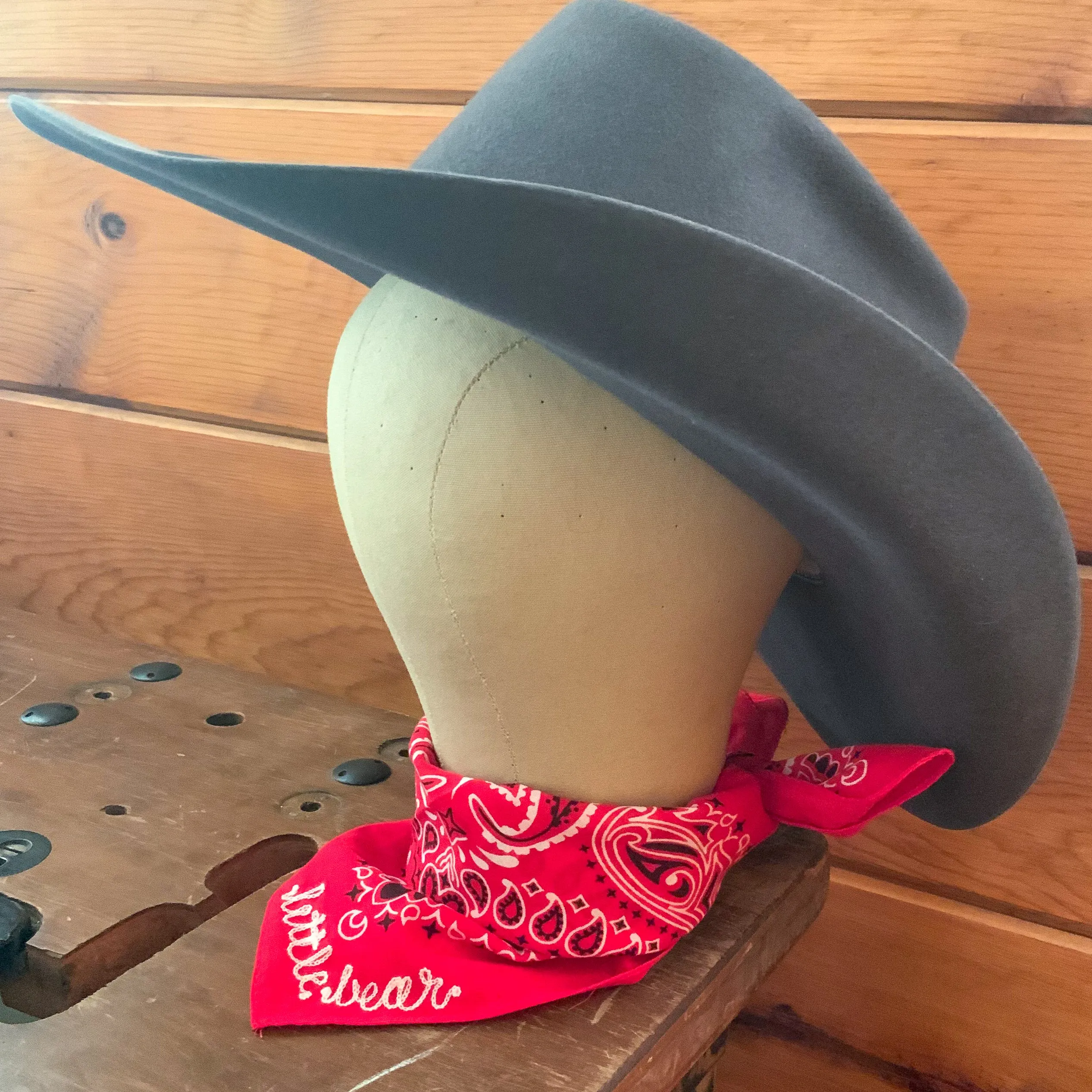 Bandana - Red - Triangle Fold Word/Phrase