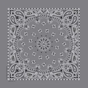 BD2505 Bandana Paisley Charcoal