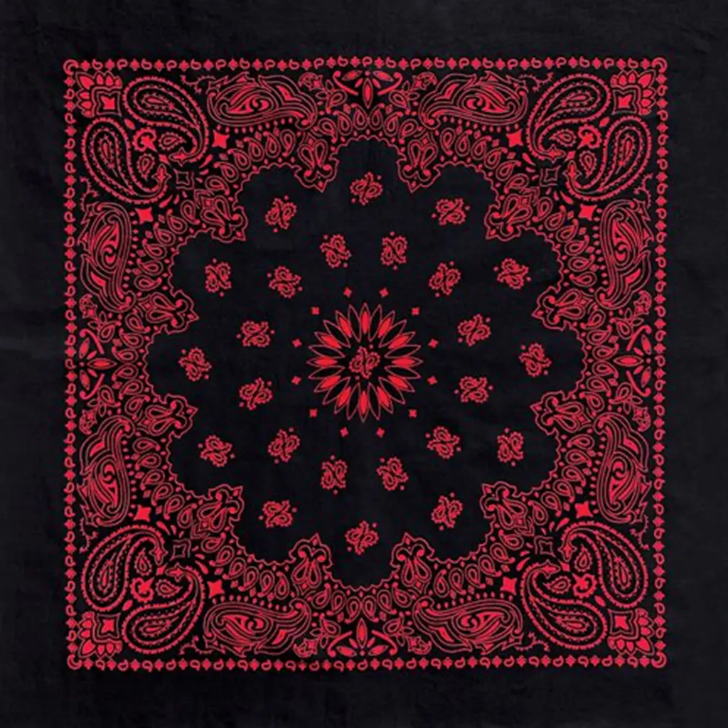Black & Red Austin Paisley Bandana