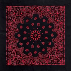 Black & Red Austin Paisley Bandana