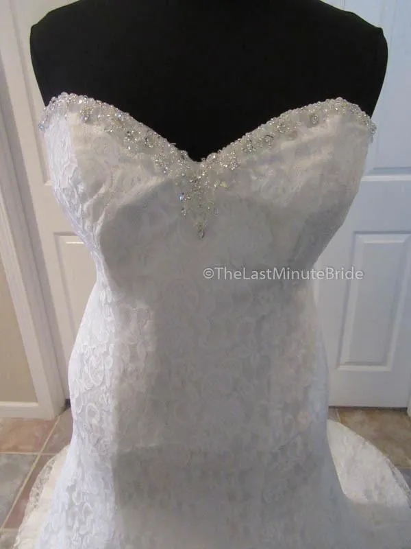 Cara Mia 29257
