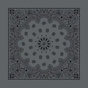 Charcoal & Black Austin Paisley Bandana