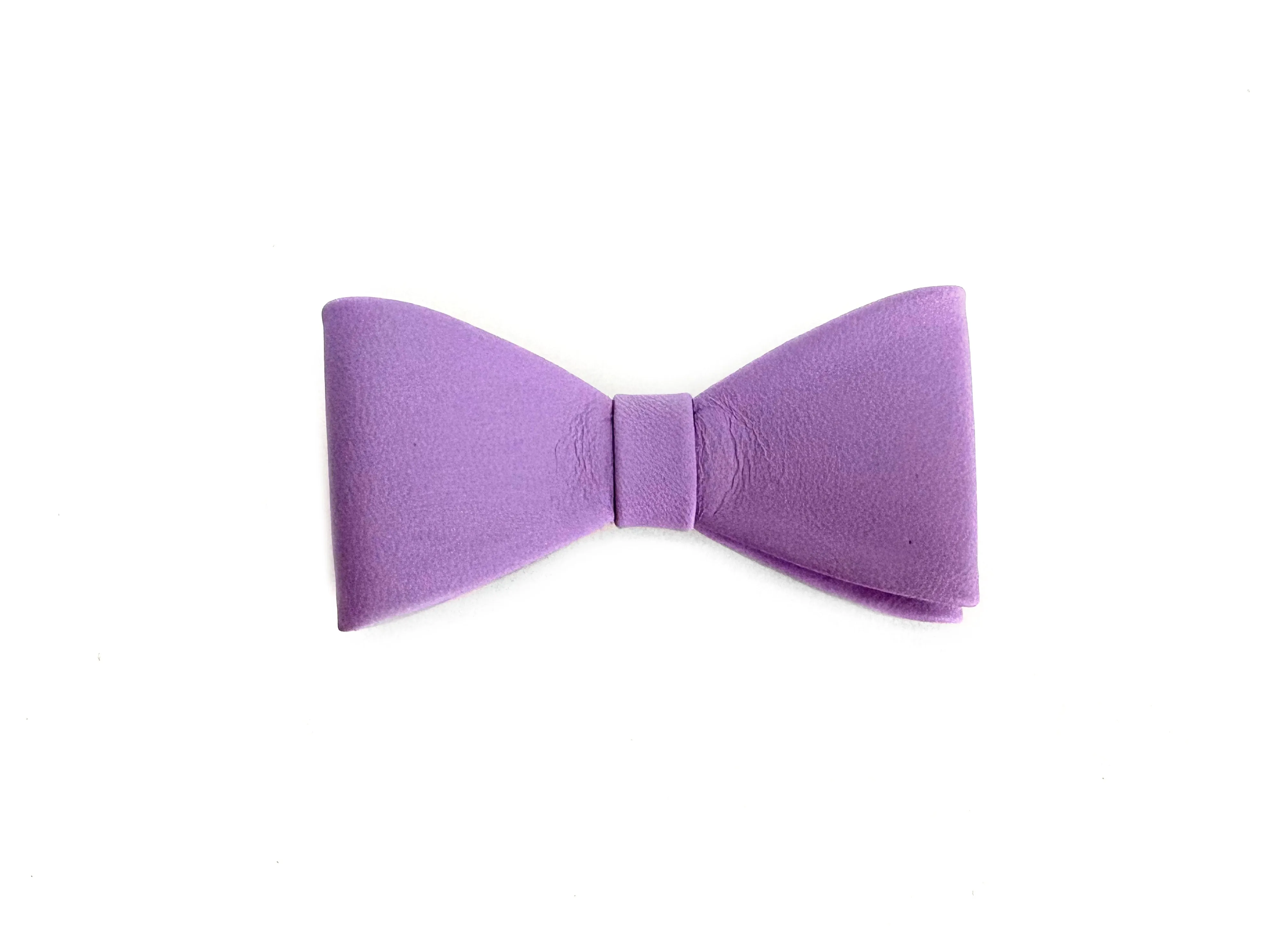 Classic Bow Shoe Clips