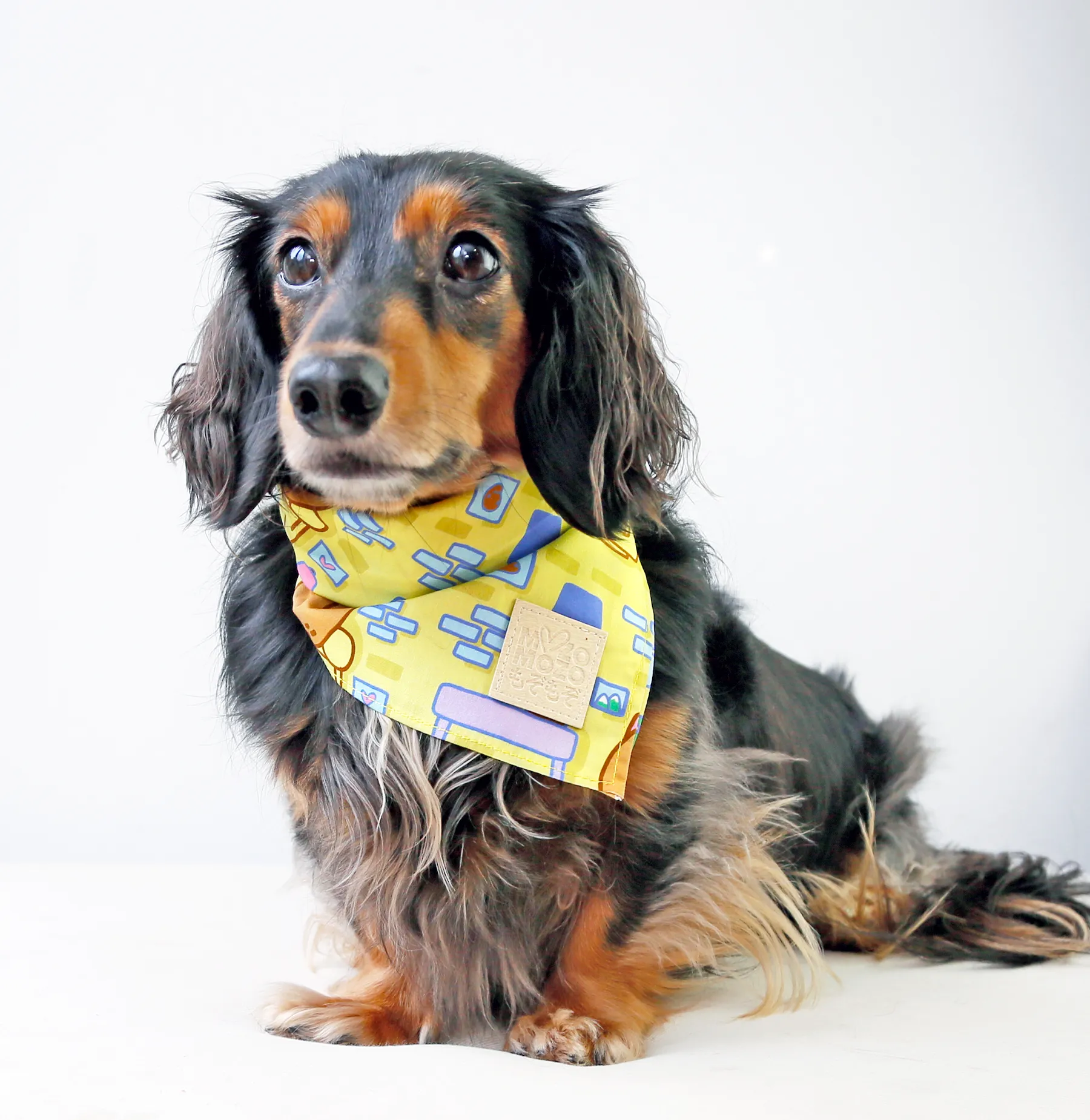 Couch potato bandana