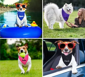 Custom Pet Bandanas