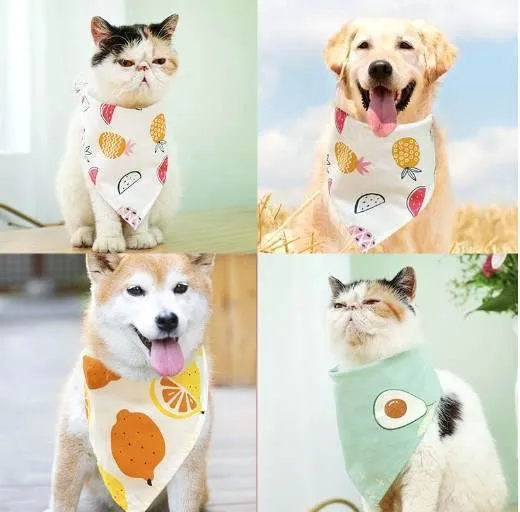 Custom Pet Bandanas