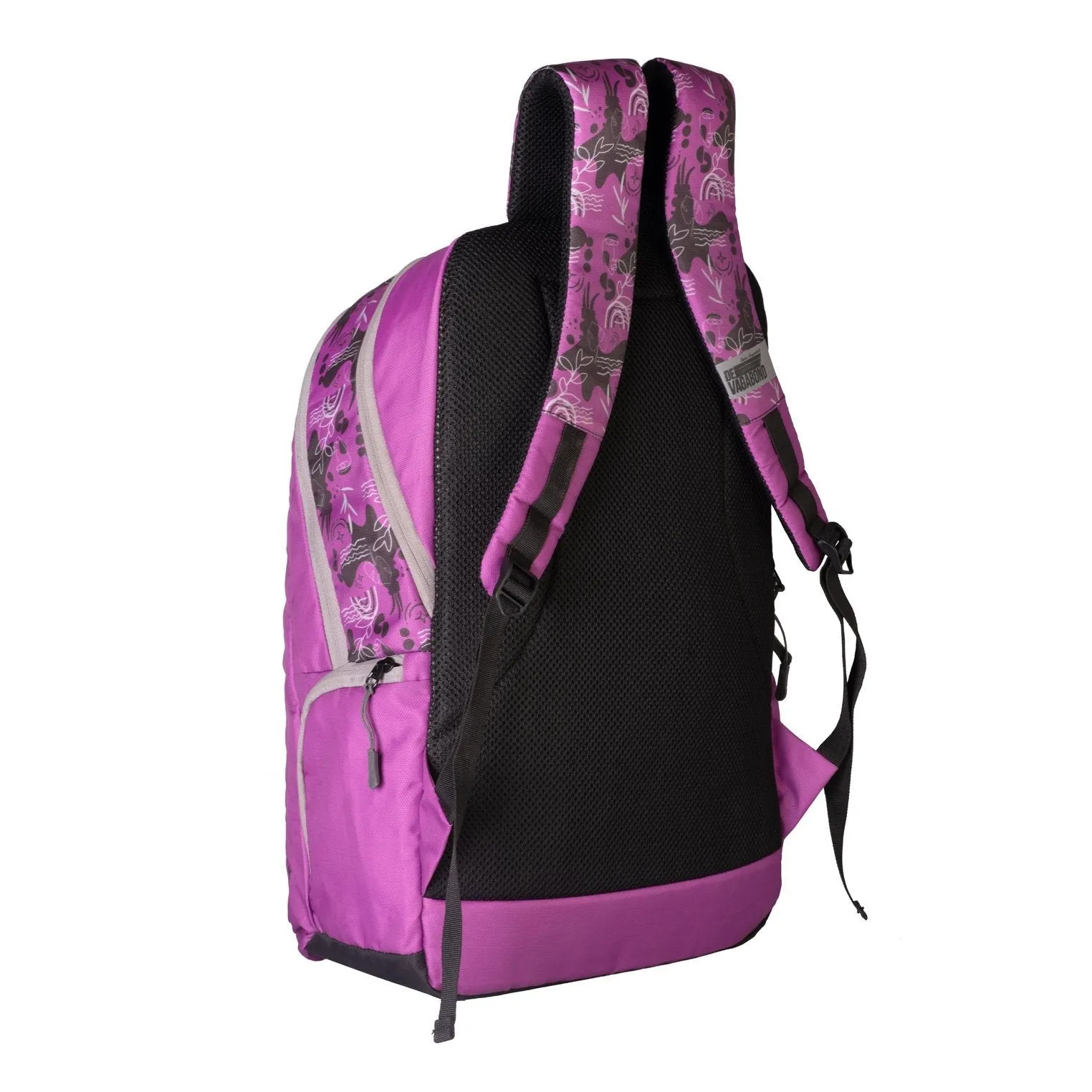 Cylas Purple