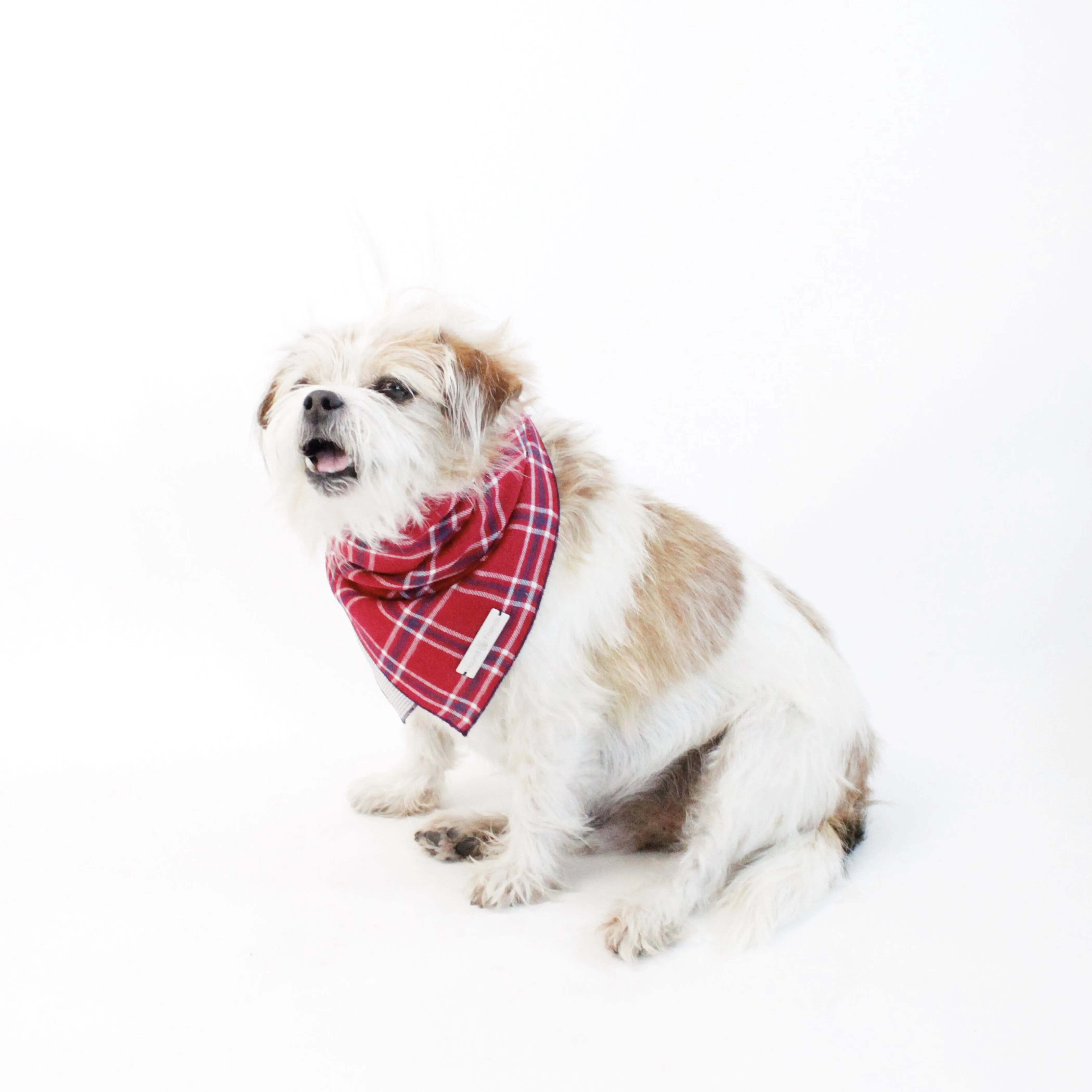 Dara Reversible Scarf Bandana