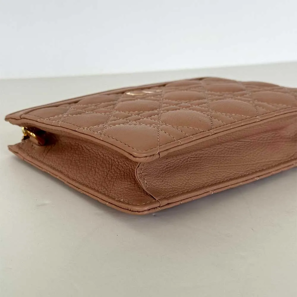 Dior Caro Every Dior Pouch