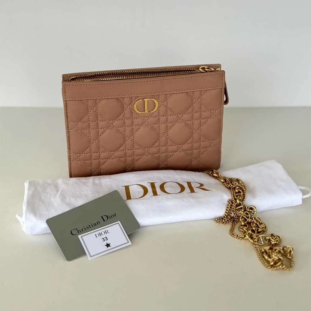 Dior Caro Every Dior Pouch