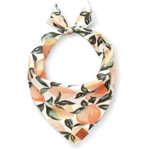 Dog Bandana: Size Large