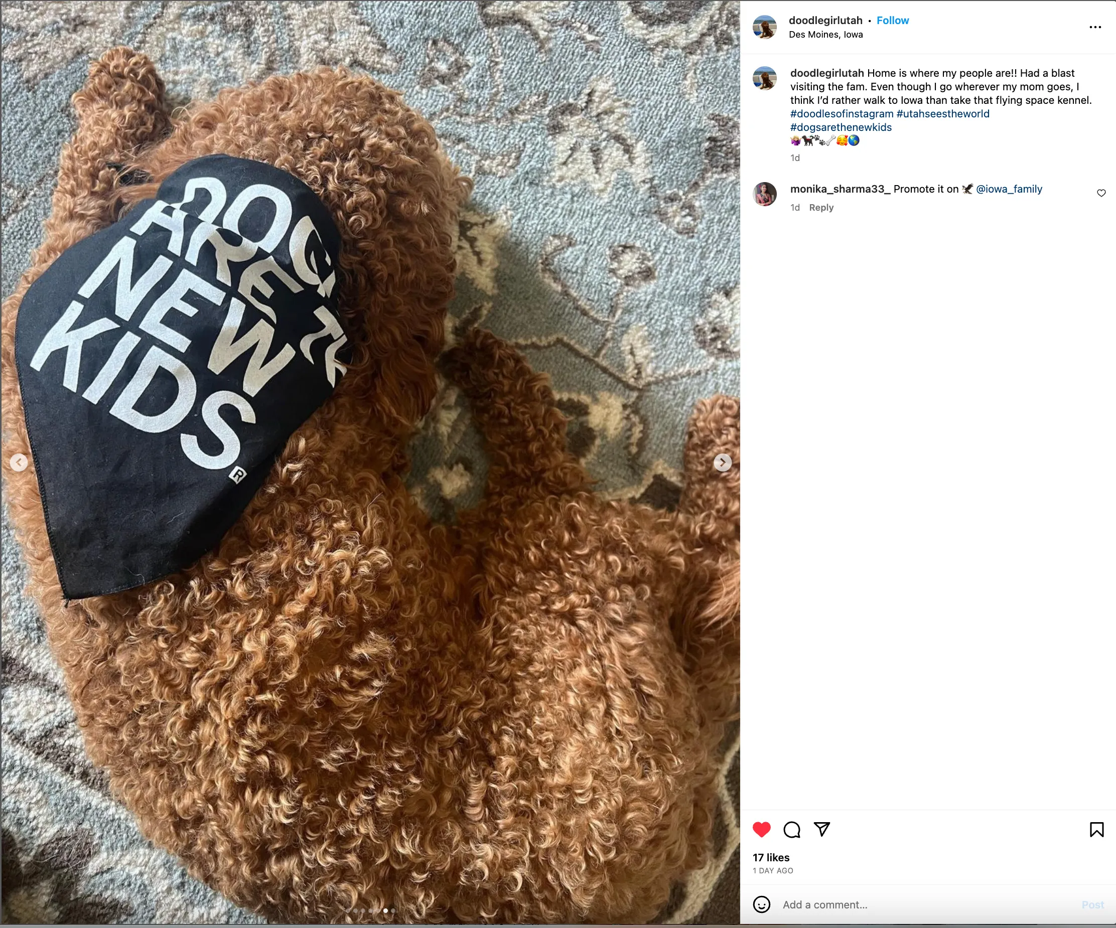 Dogs Are The New Kids Dog Bandana