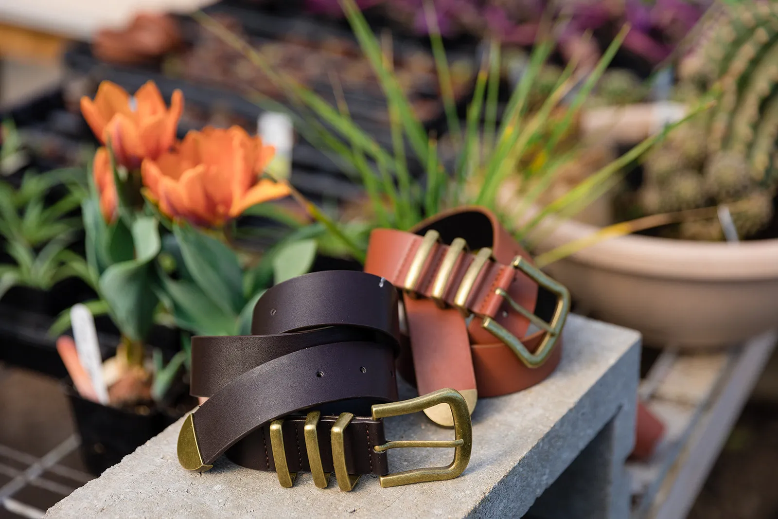 Dutton Vegan Leather Belt