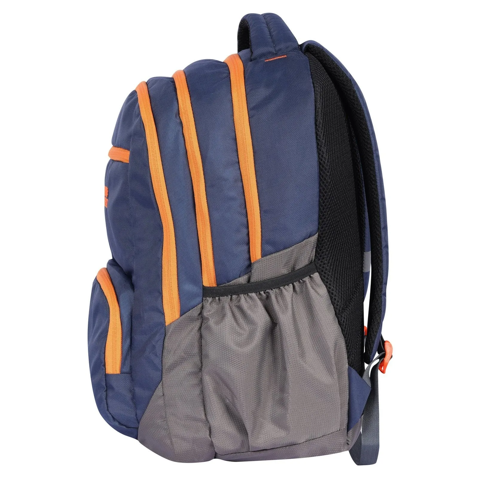 DV Pro 4.21 Blue