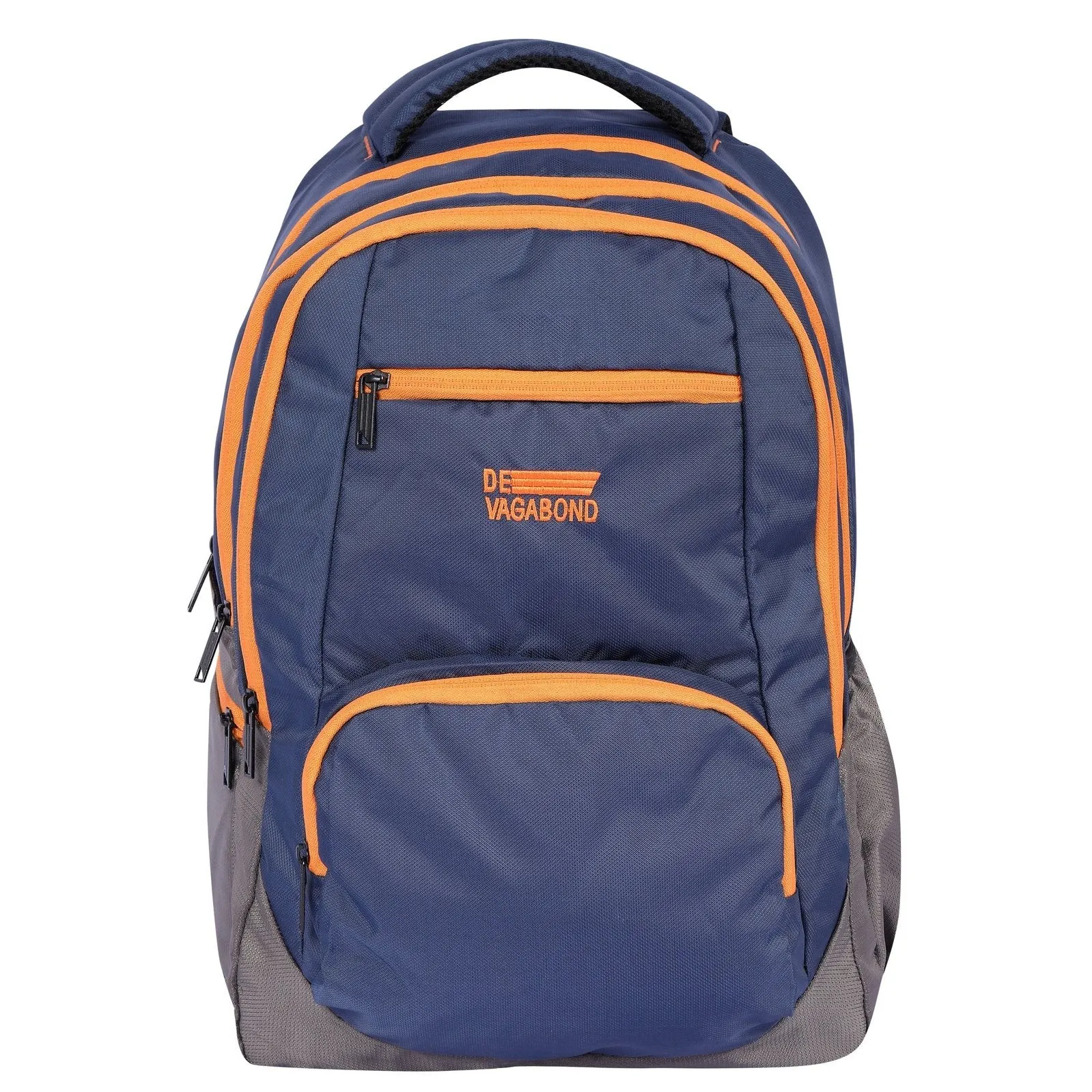 DV Pro 4.21 Blue