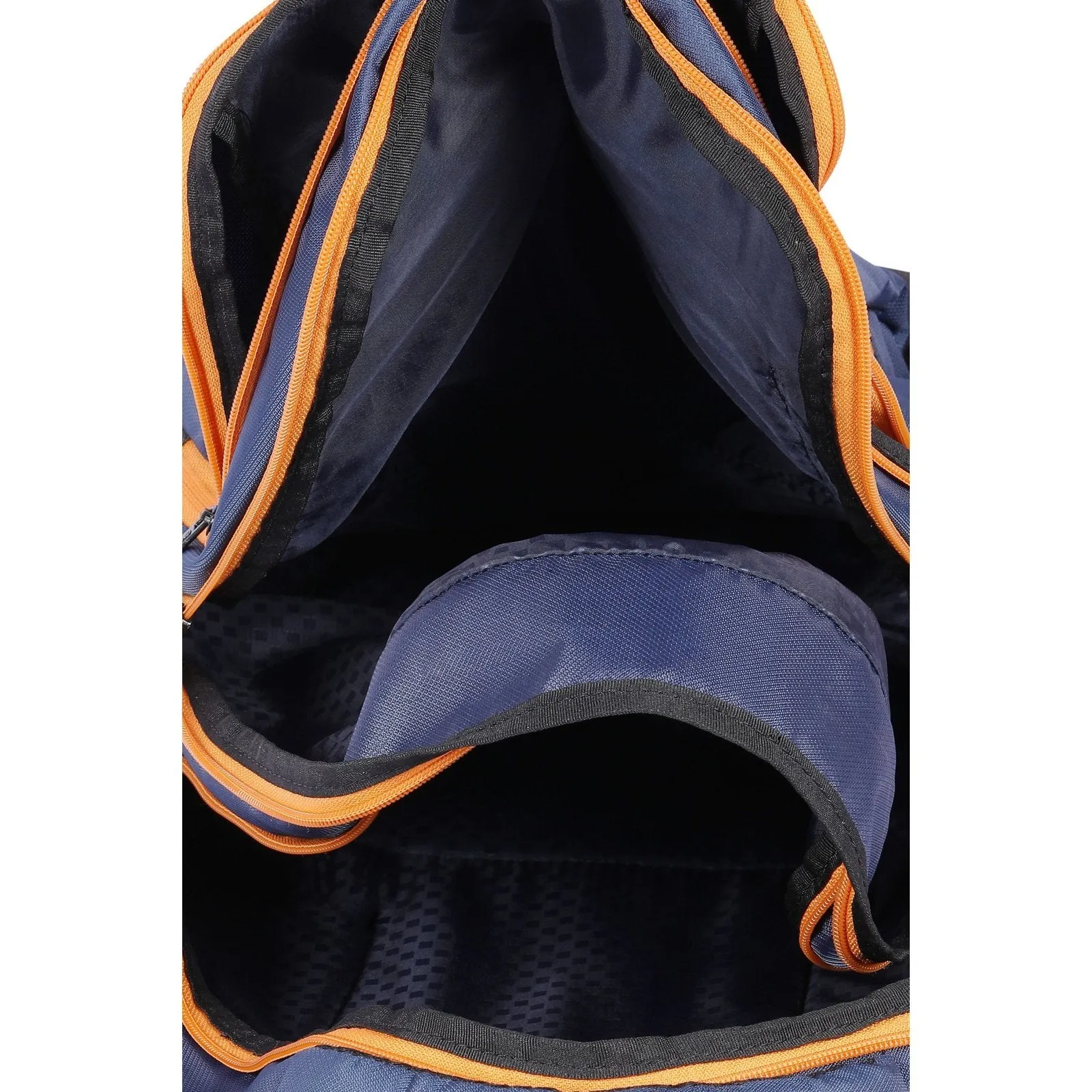 DV Pro 4.21 Blue