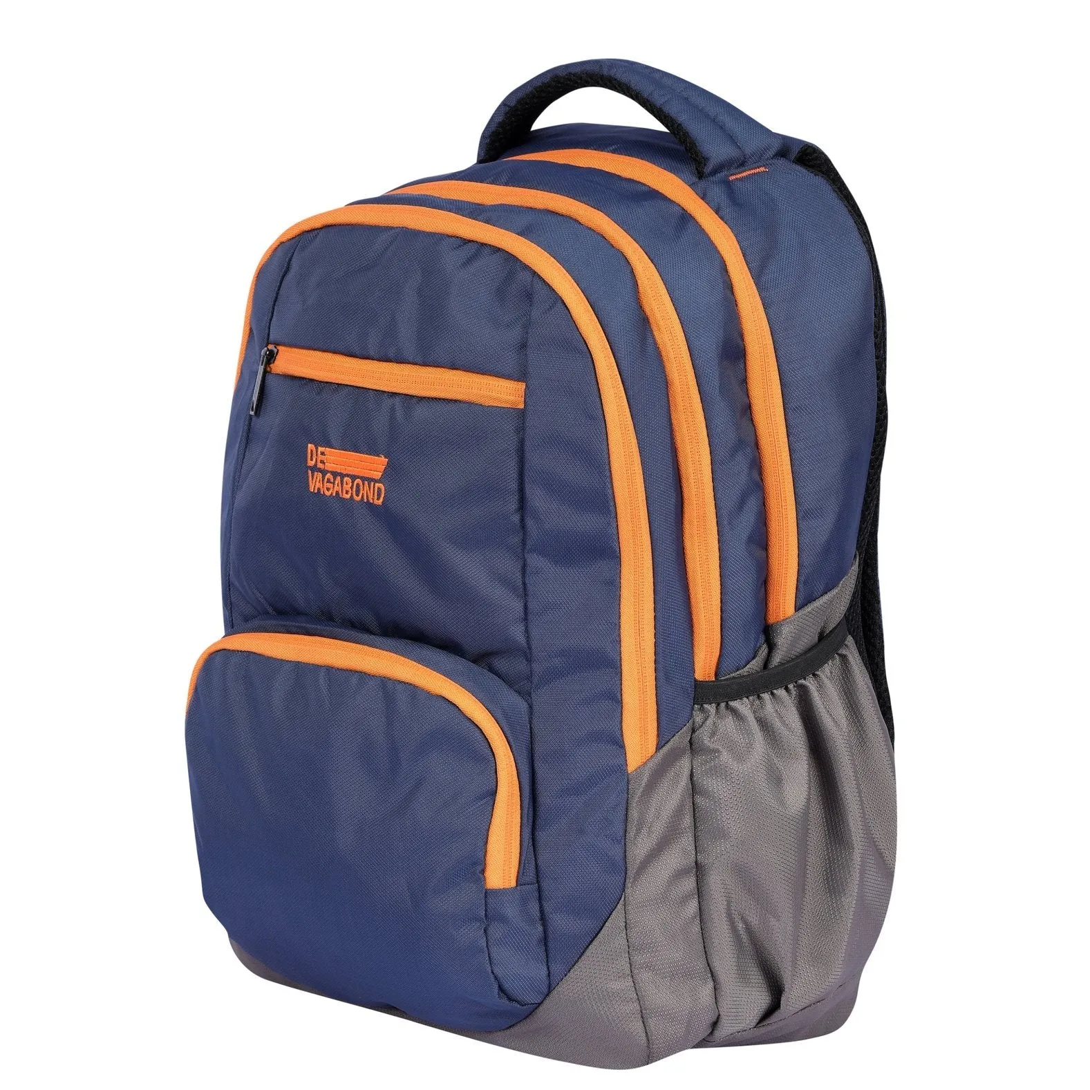 DV Pro 4.21 Blue