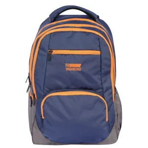 DV Pro 4.21 Blue