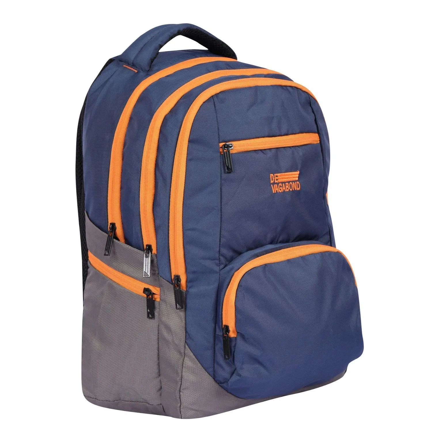 DV Pro 4.21 Blue