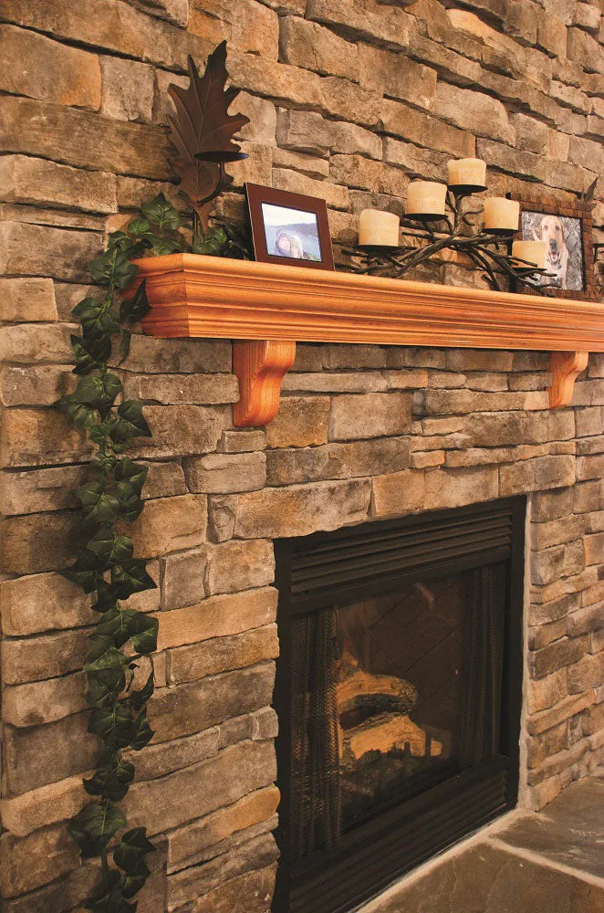 electroVine | 6 Foot Extension Cord with Realistic Ivy Leaves