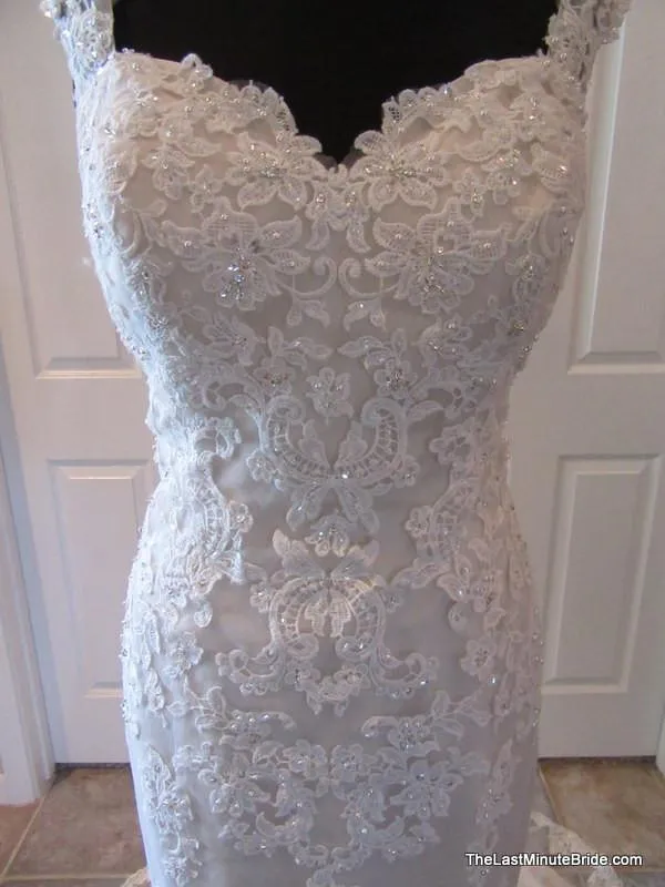 Ella Rosa by Kenneth Winston BE299