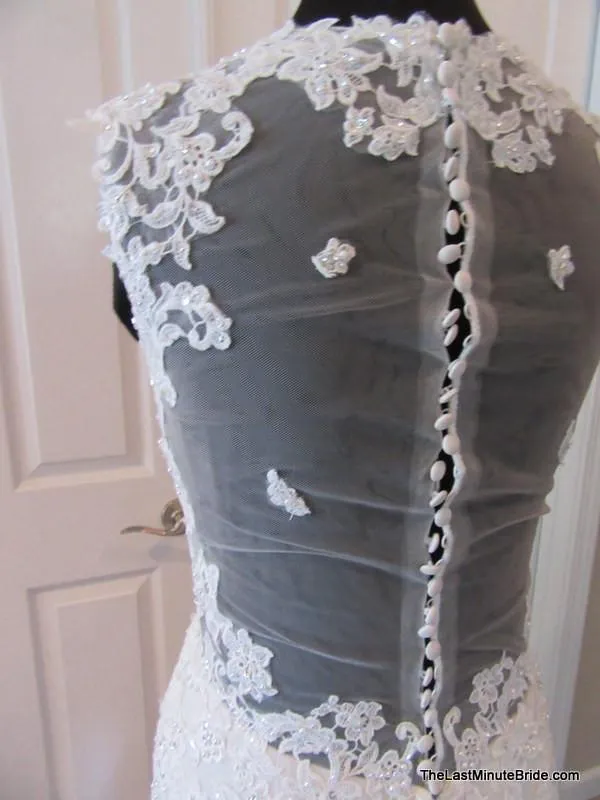 Ella Rosa by Kenneth Winston BE299