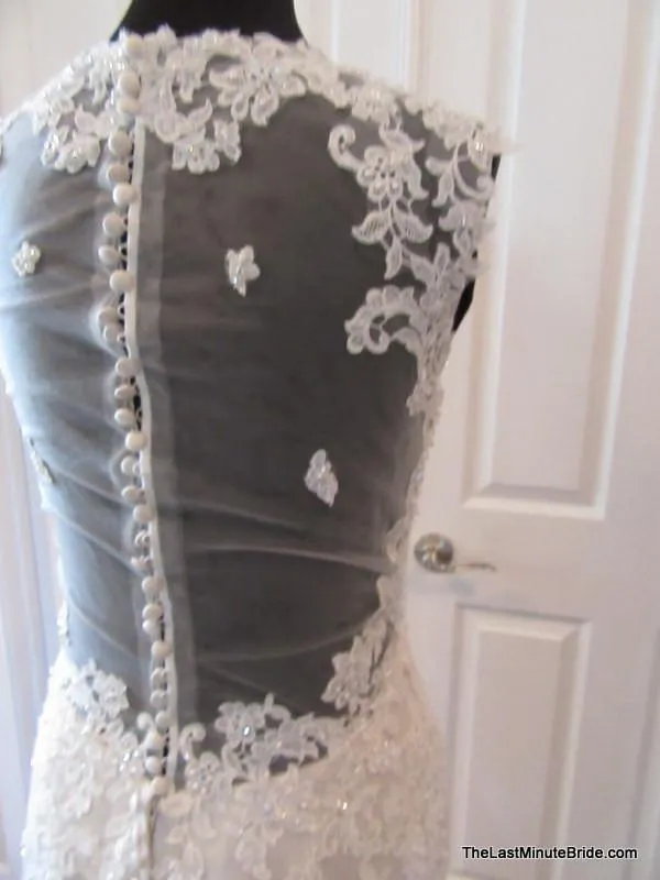 Ella Rosa by Kenneth Winston BE299