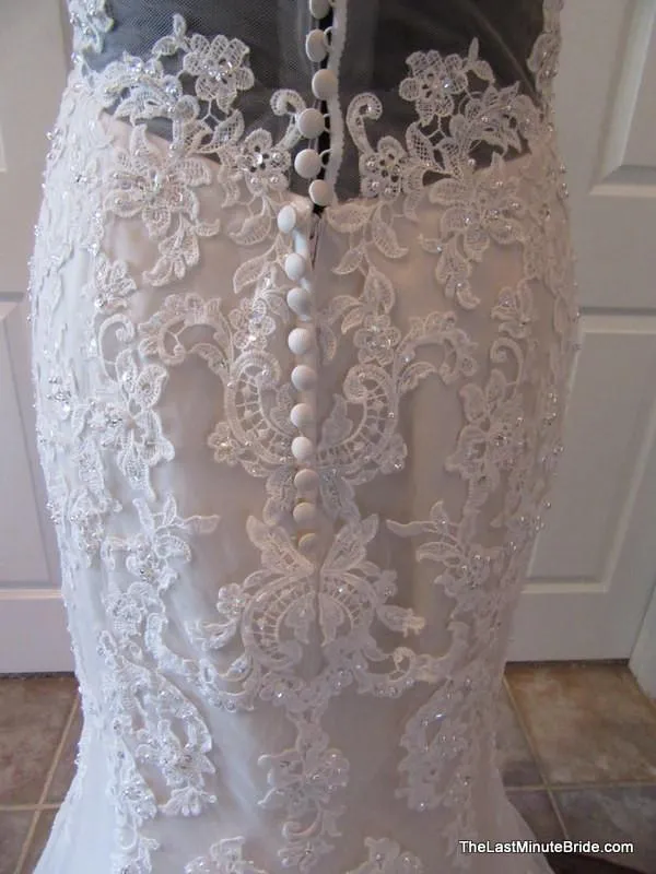 Ella Rosa by Kenneth Winston BE299