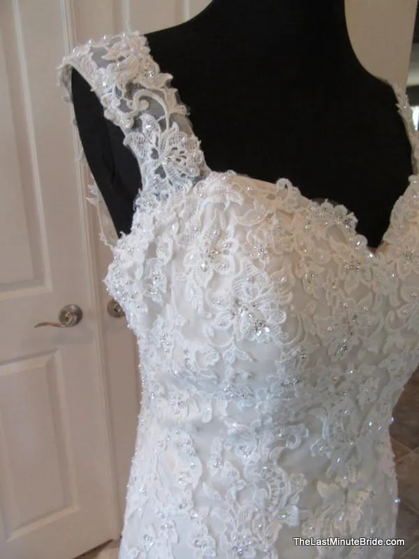 Ella Rosa by Kenneth Winston BE299