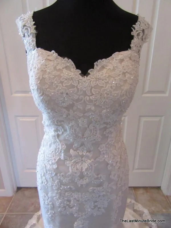 Ella Rosa by Kenneth Winston BE299