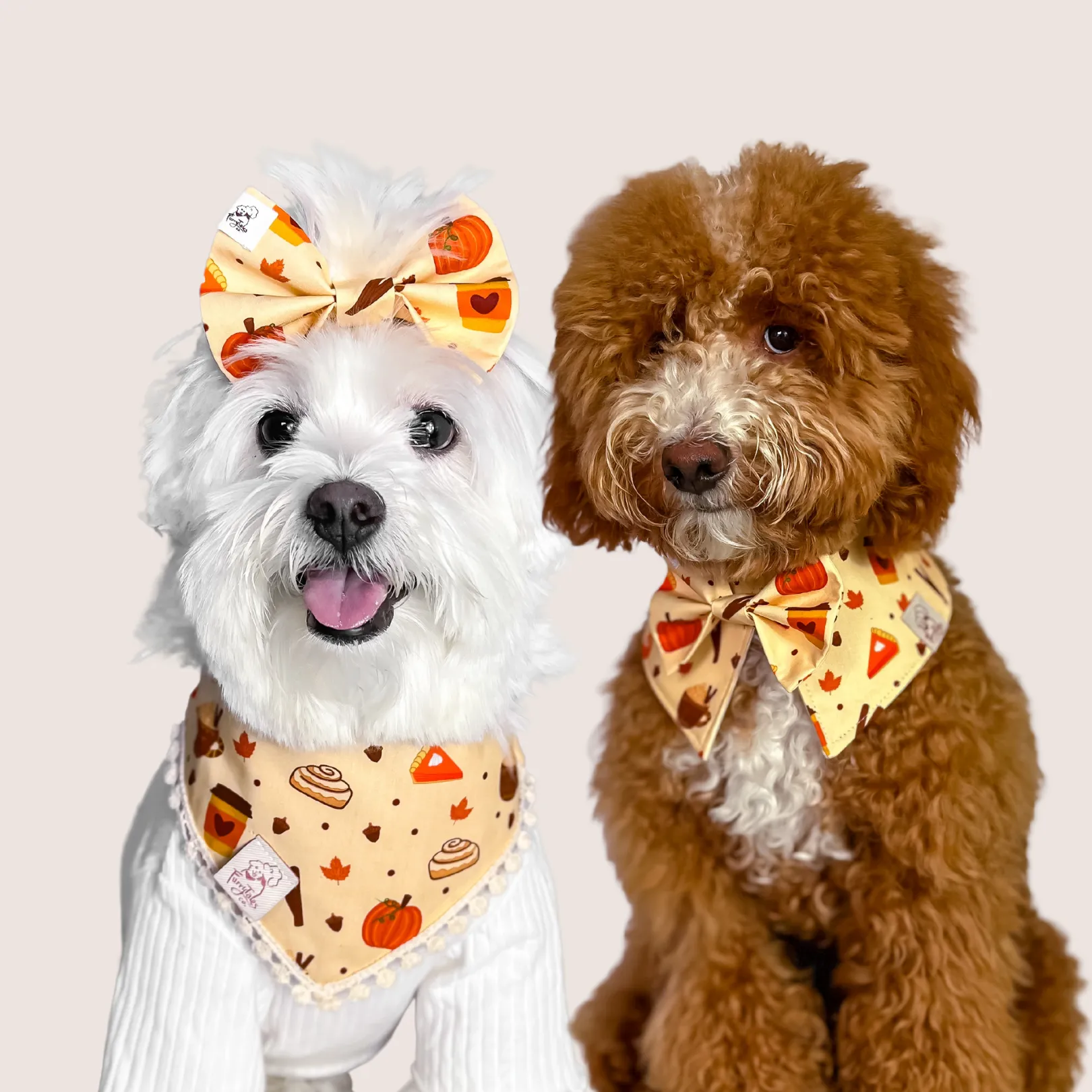 Fallssentials Bandana