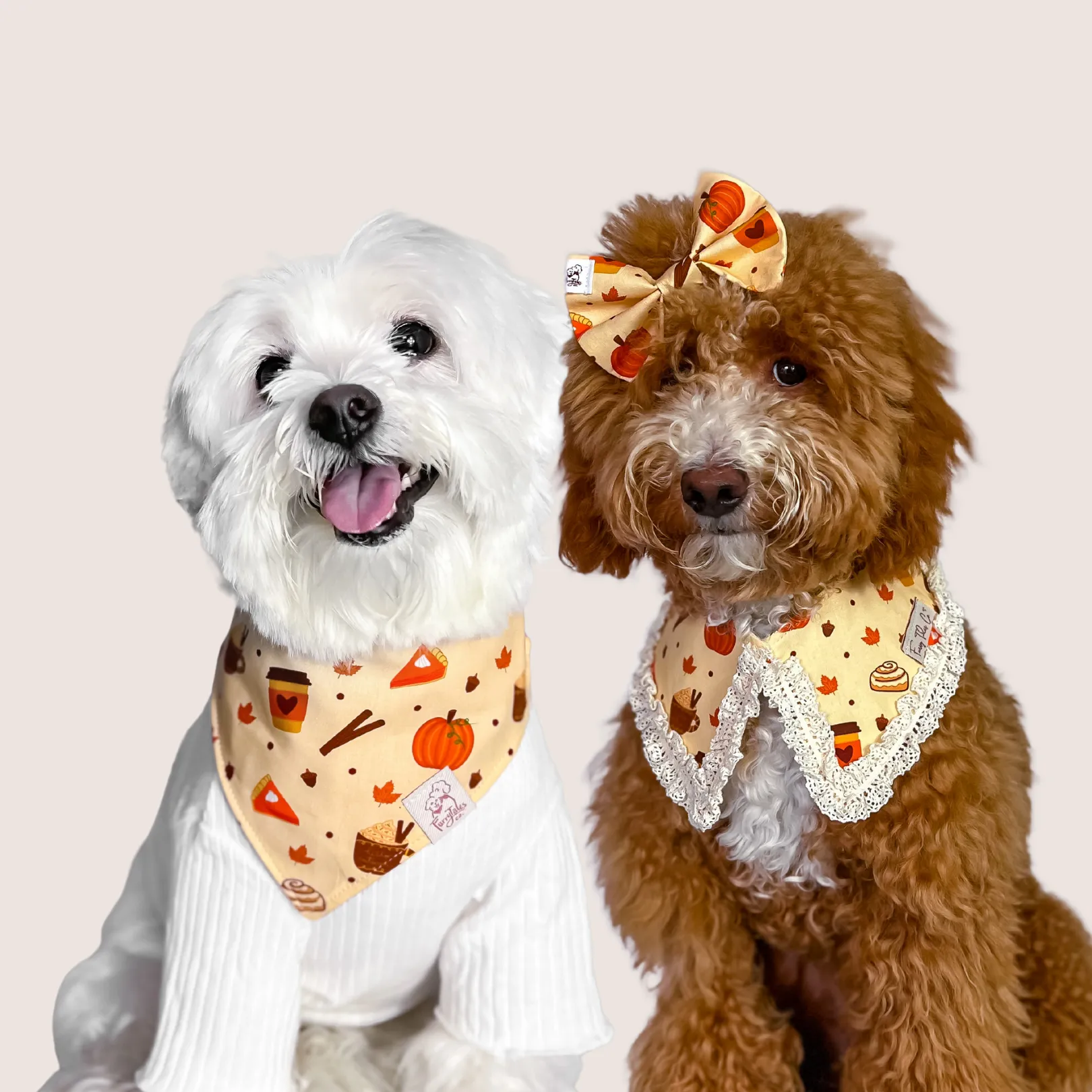 Fallssentials Bandana