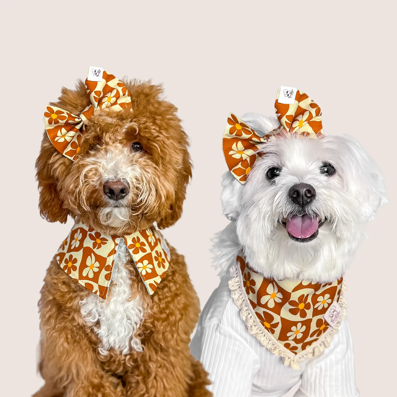 Far Out! Bandana