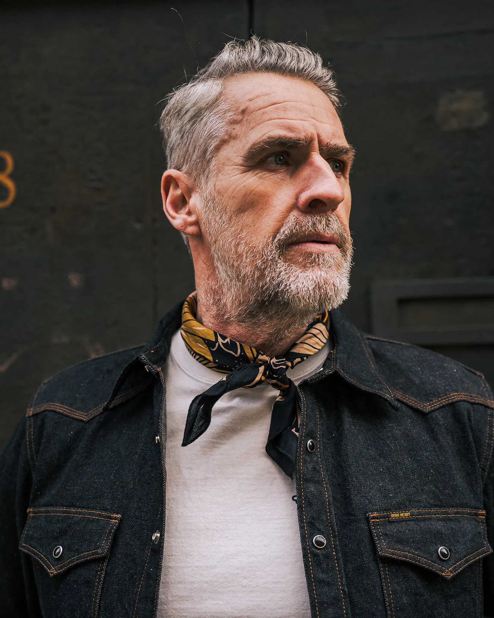Felix Green Organic Cotton "Aviary" Bandana - Black