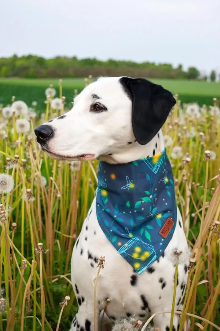 Firefly - Pet Bandana