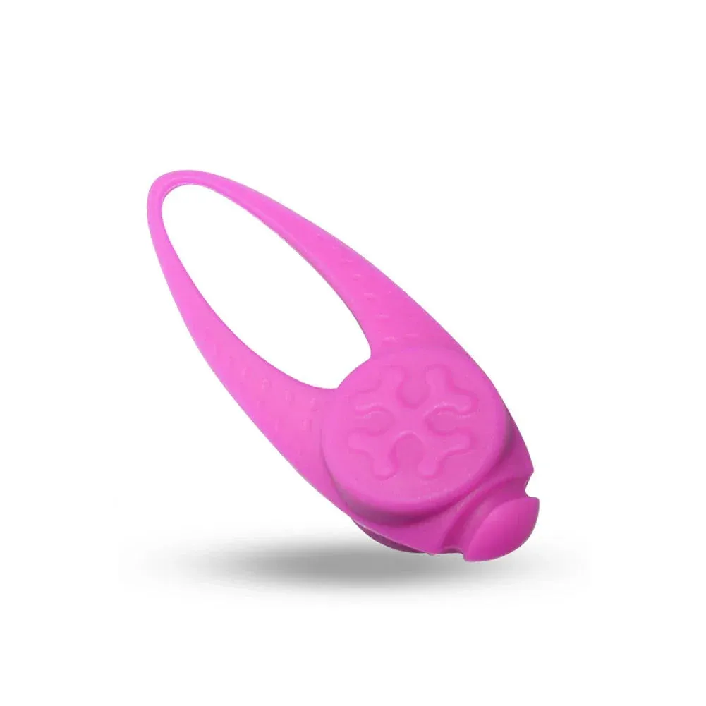 Flashing Glow Light Blinking Led Collar