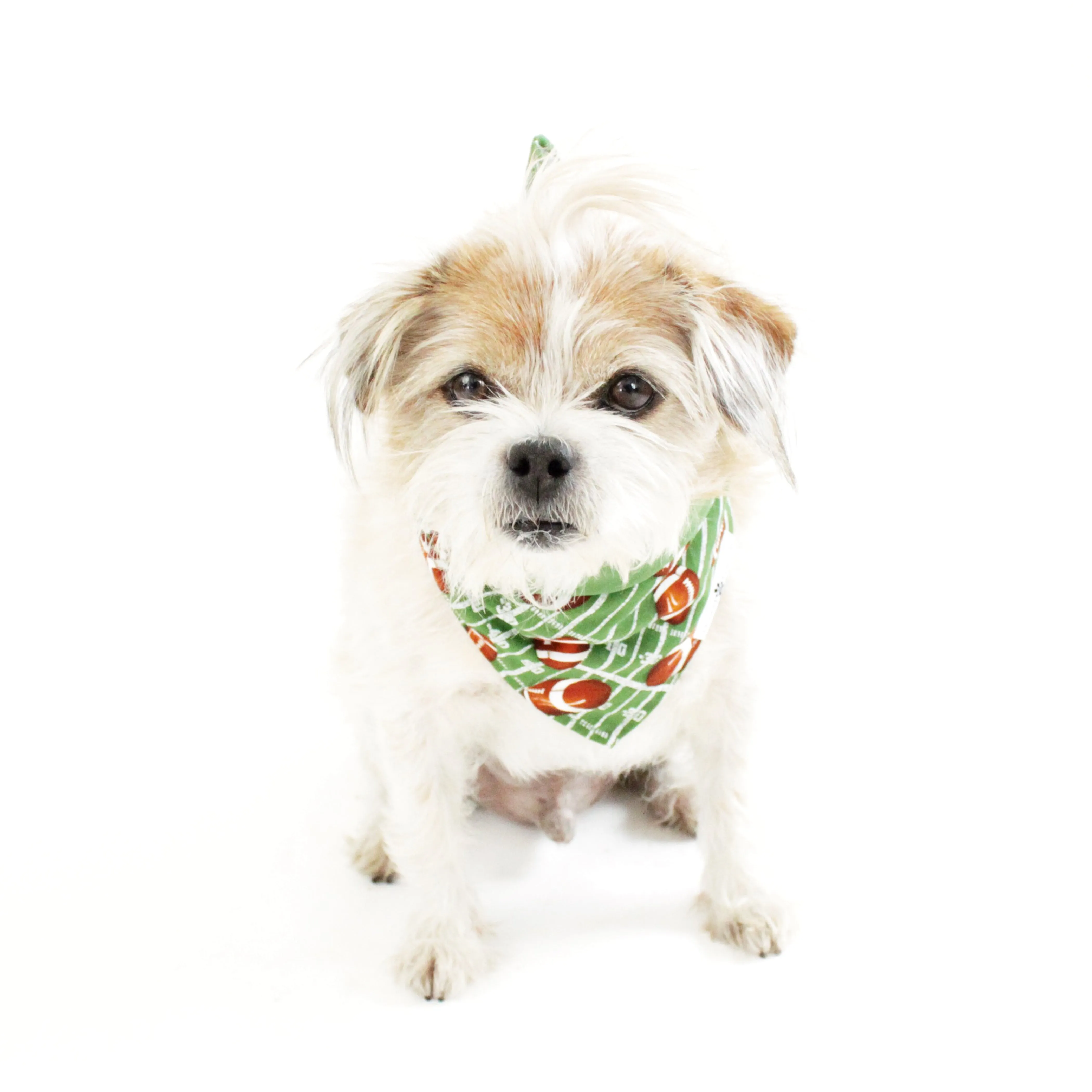 Football Reversible Bandana